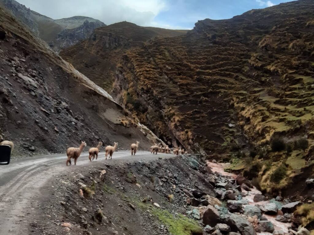 Tour Inkas Chacana